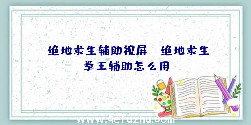 「绝地求生辅助视屏」|绝地求生拳王辅助怎么用